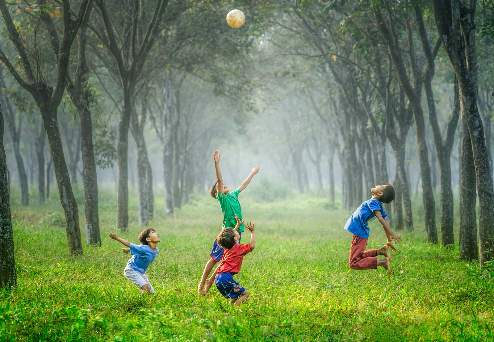 Young athletes playing a variety of sports