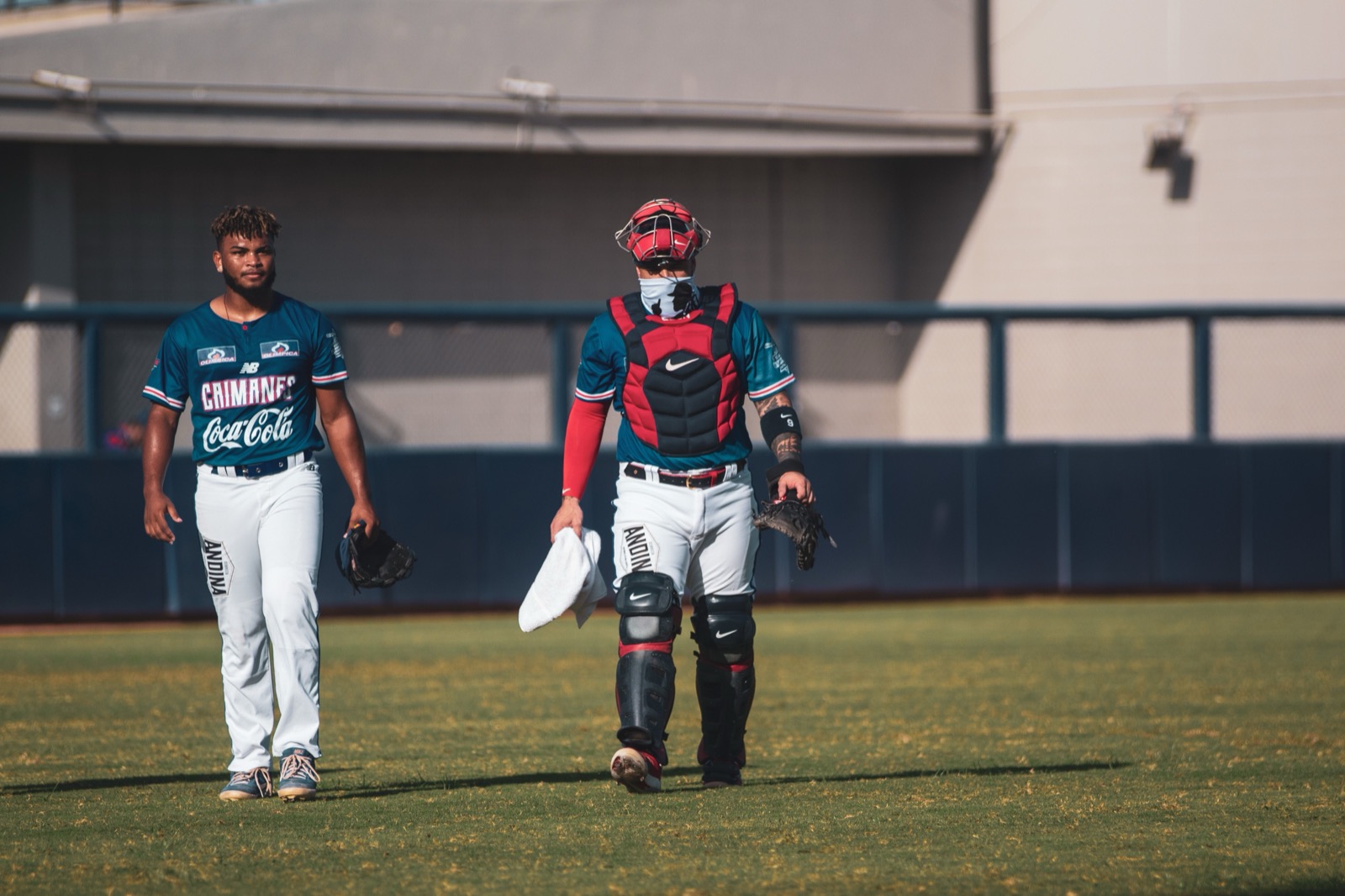 Pitch Calling and the Pitcher-Catcher Relationship